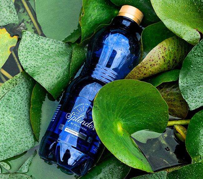 2splendor-water-bottle-nature-leaves